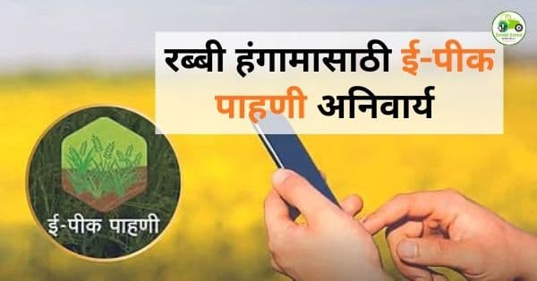 रब्बी हंगामासाठी ई-पीक पाहणी नोंदणी : २४ जानेवारी २०२६ ही अंतिम तारीख
