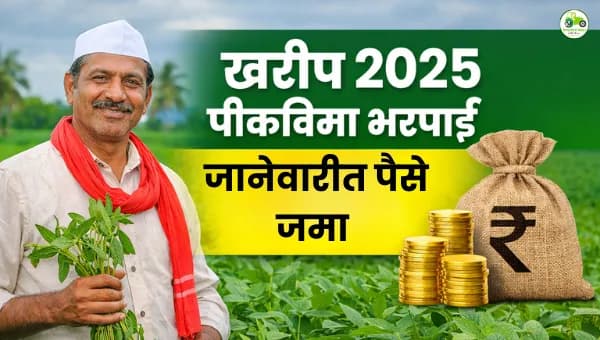 खरीप 2025 पीकविमा भरपाई : जानेवारीत पैसे जमा होणार? शेतकऱ्यांसाठी मोठी अपडेट