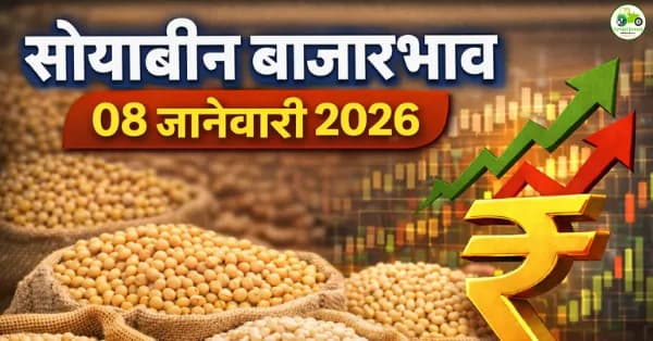 सोयाबीन बाजारभाव 08 जानेवारी 2026 | महाराष्ट्रातील आजचे सोयाबीन दर व विश्लेषण