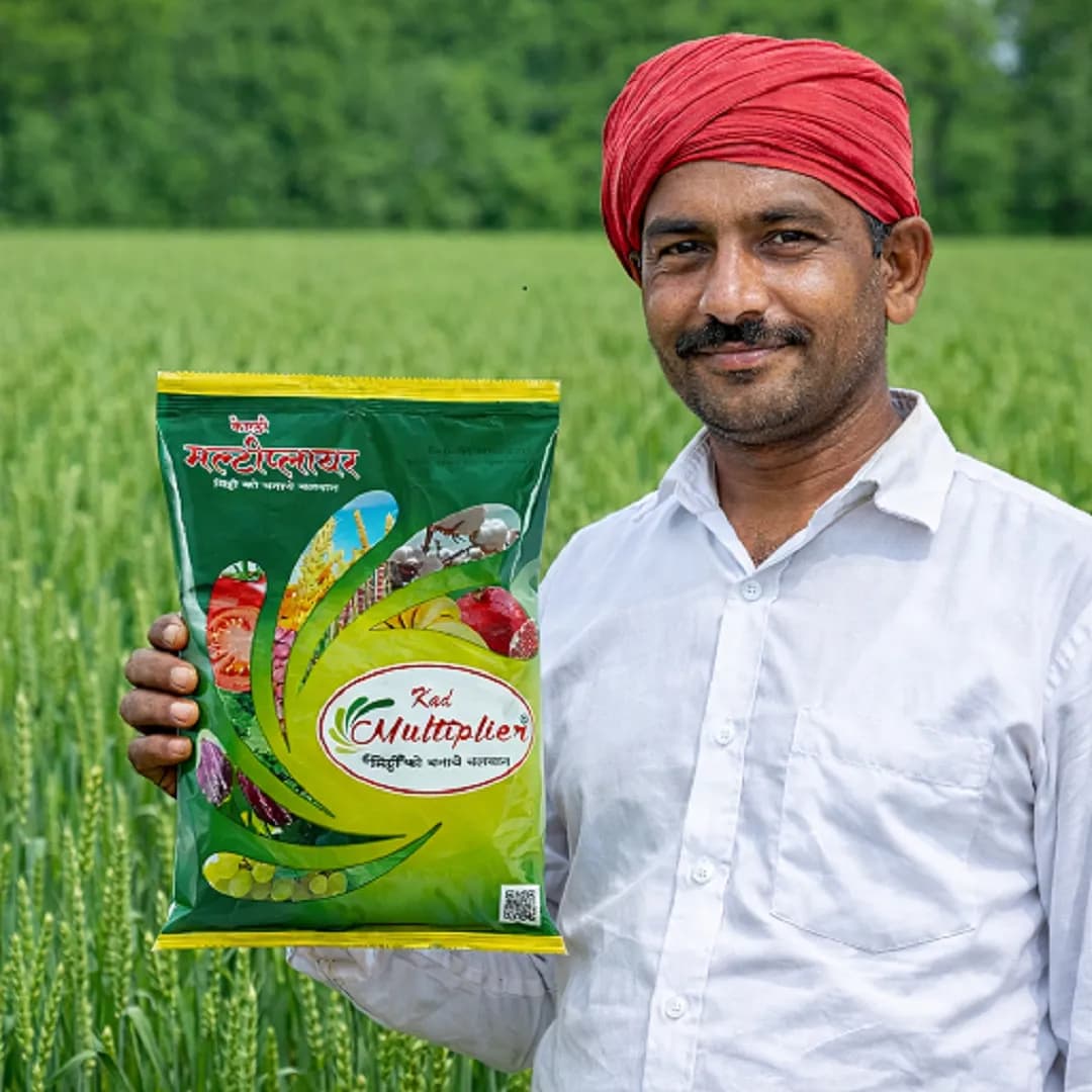 होलसेल सेंद्रिय मल्टीप्लायर