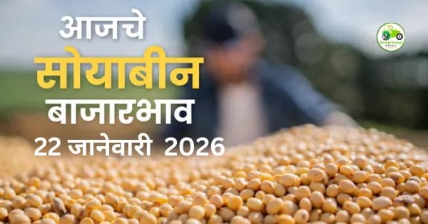 आजचे सोयाबीन बाजारभाव 22 जानेवारी 2026 | महाराष्ट्रातील ताजे दर