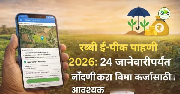 रब्बी ई-पीक पाहणी 2026: 24 जानेवारीपर्यंत नोंदणी करा | विमा-कर्जासाठी आवश्यक