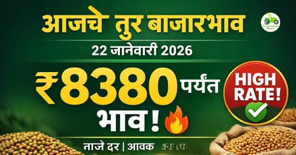 आजचे तूर बाजारभाव 22 जानेवारी 2026 | महाराष्ट्रातील ताजे दर