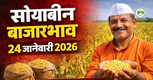 सोयाबीन बाजारभाव 24 जानेवारी 2026 | महाराष्ट्रातील आजचे ताजे दर