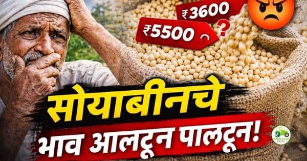 सोयाबीन बाजारभाव 25 जानेवारी 2026 | सिल्लोड, जळकोट, बुलढाणा आजचे दर