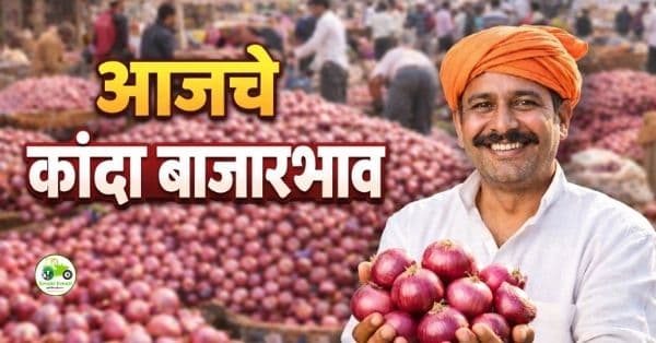 कांदा बाजारभाव 26 जानेवारी 2026 | पुणे-पिंपरी, मंगळवेढा आजचे दर