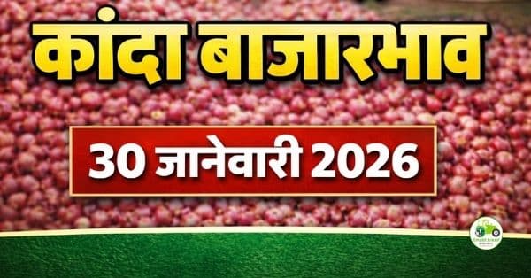 महाराष्ट्र कांदा बाजारभाव 30 जानेवारी 2026 | आजचे कांदा दर APMC