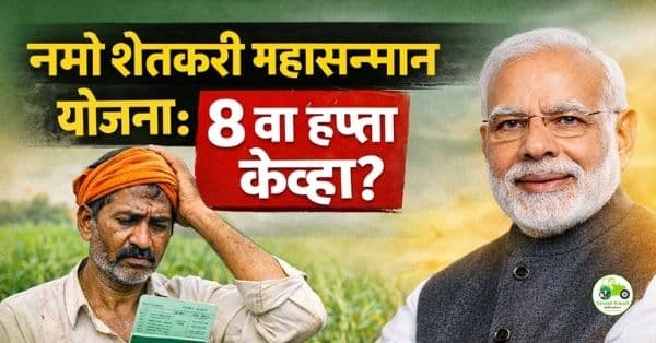 नमो शेतकरी महासन्मान योजना: राज्याचा 8 वा हप्ता केव्हा?