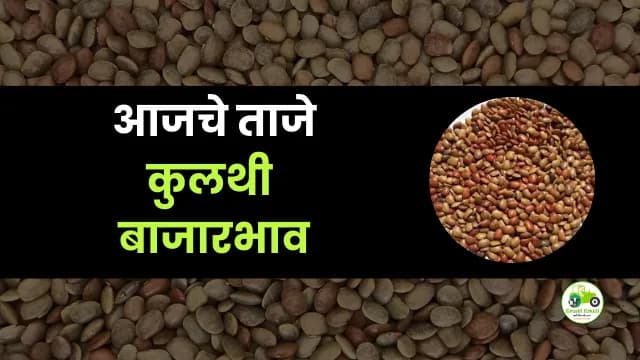 आजची कुलथी बाजारभाव