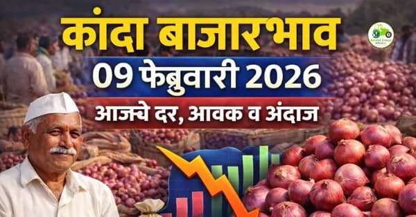 कांदा बाजारभाव 09 फेब्रुवारी 2026