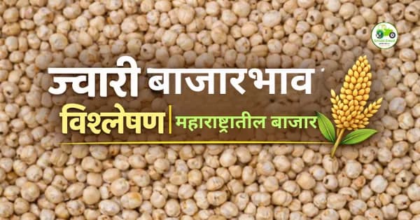 ज्वारी बाजारभाव विश्लेषण | मुंबई, पुणे, नागपूर, सोलापूर दर आज
