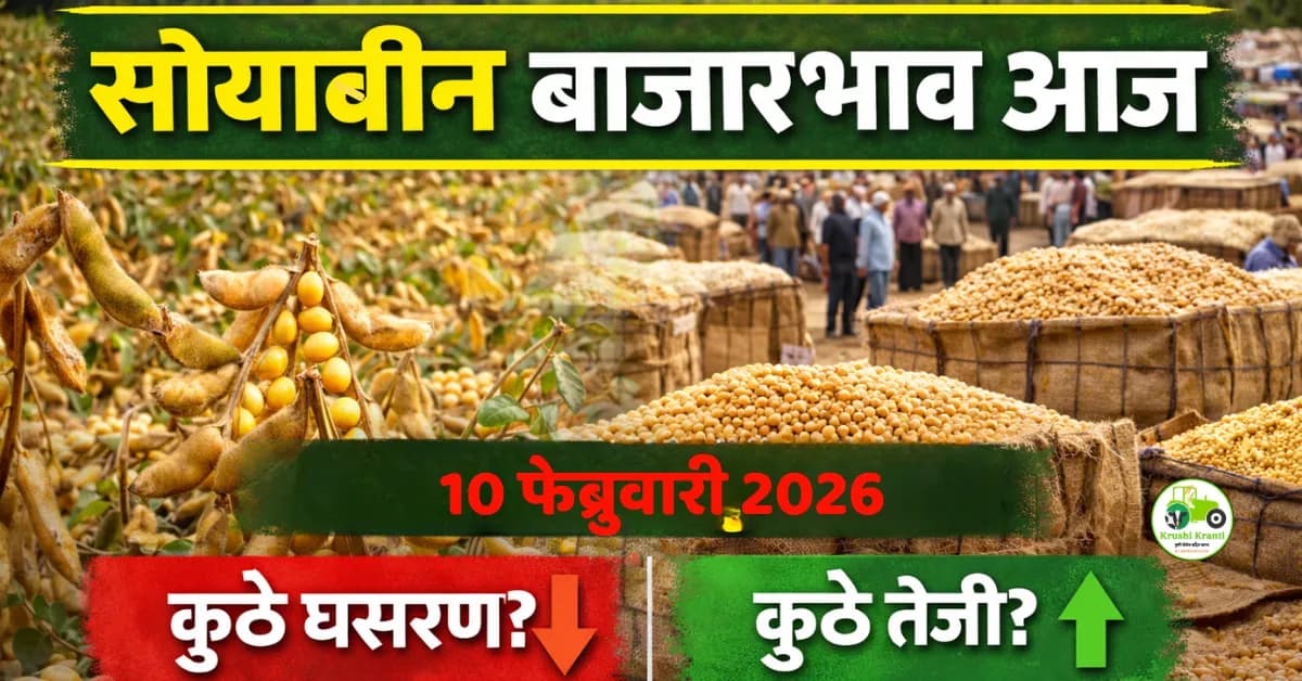 सोयाबीन बाजारभाव आज | महाराष्ट्र सोयाबीन दर, आवक व अंदाज
