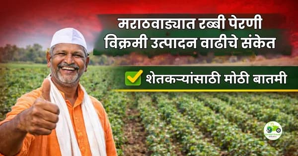 मराठवाड्यात रब्बी पेरणी 147% वाढ; उत्पादन वाढीची शक्यता