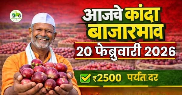 कांदा बाजारभाव 20 फेब्रुवारी 2026 | आजचे ताजे दर