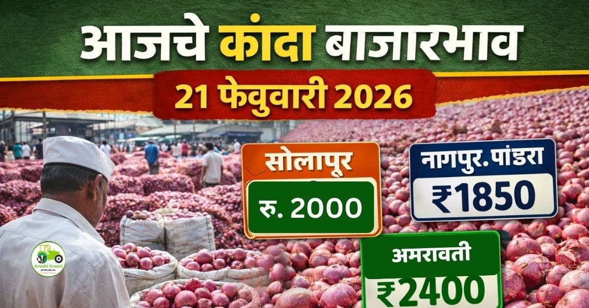 आजचे कांदा बाजारभाव 21 फेब्रुवारी 2026 | महाराष्ट्रातील प्रमुख बाजार समित्यांचे दर
