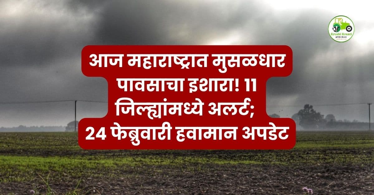 Rain Update : महाराष्ट्रात मुसळधार पावसाचं संकट, 11 जिल्ह्यांमध्ये अलर्ट; तुमच्याकडे सरी बरसणार का?