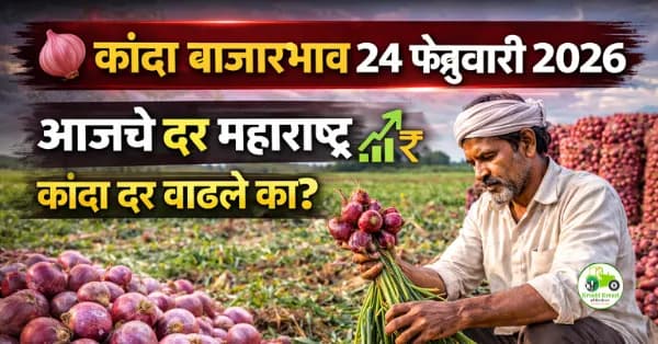 कांदा बाजारभाव 24 फेब्रुवारी 2026 | आजचे कांदा दर महाराष्ट्र