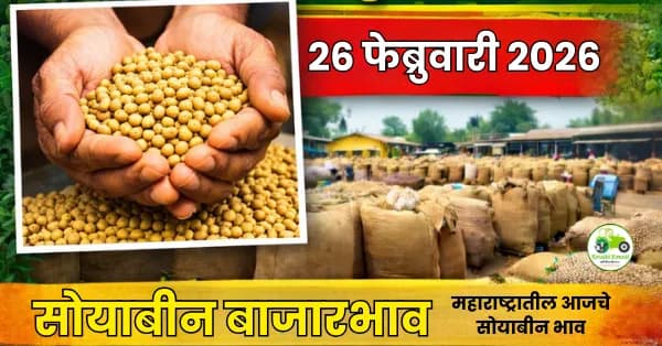 आजचे सोयाबीन बाजारभाव 26 फेब्रुवारी 2026 | महाराष्ट्र ताजे दर