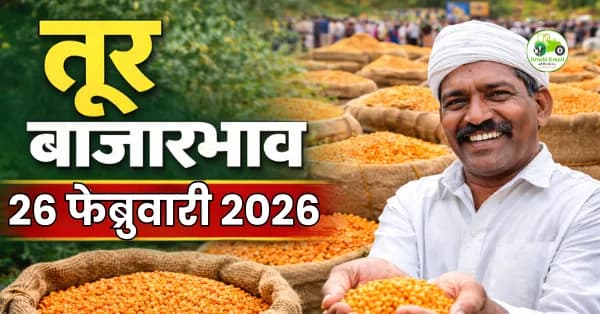 आजचे तूर बाजारभाव 26 फेब्रुवारी 2026 | महाराष्ट्र ताजे दर