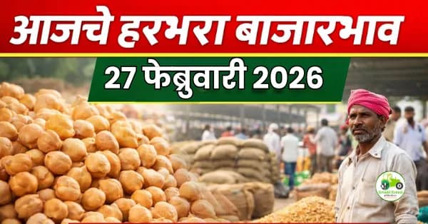 आजचे हरभरा बाजारभाव 27 फेब्रुवारी 2026 | महाराष्ट्रातील ताजे दर