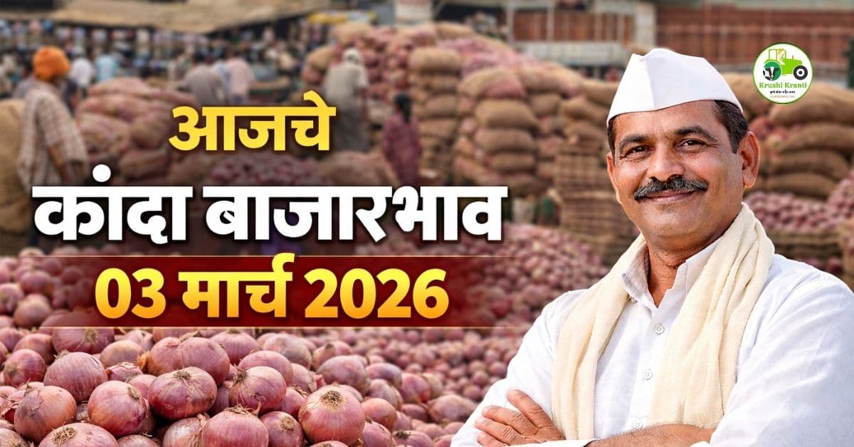 कांदा बाजारभाव 03 मार्च 2026 | पुणे जिल्ह्यात आजचे कांदा दर
