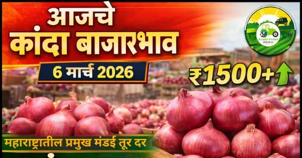 आजचे कांदा बाजारभाव 6 मार्च 2026 | महाराष्ट्रातील प्रमुख मंडई कांदा दर