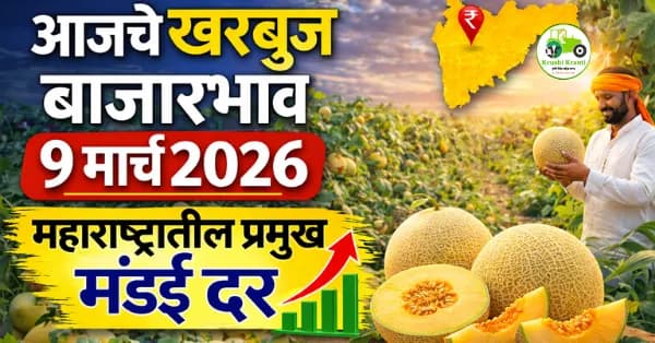 आजचे खरबूज बाजारभाव 9 मार्च 2026 | महाराष्ट्रातील प्रमुख मंडई दर