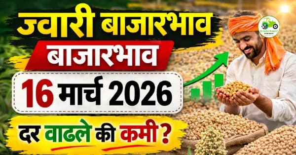 आजचे ज्वारी बाजारभाव 16 मार्च 2026 | महाराष्ट्रातील ताजे ज्वारी दर