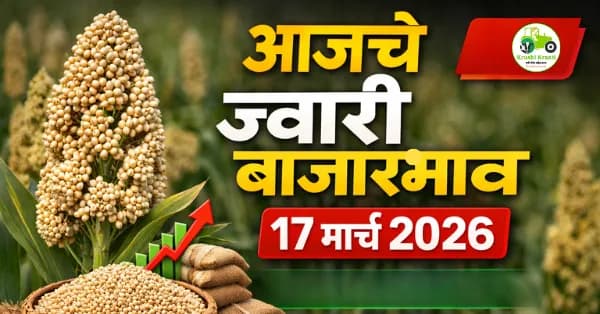 आजचे ज्वारी बाजारभाव 17 मार्च 2026 | महाराष्ट्रातील ताजे दर