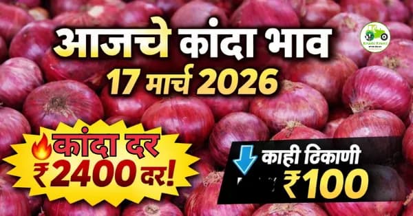 आजचे कांदा बाजारभाव 17 मार्च 2026 | महाराष्ट्रातील ताजे कांदा दर