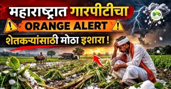 महाराष्ट्रात गारपिटीचा ऑरेंज अलर्ट; शेतकऱ्यांसाठी मोठा इशारा