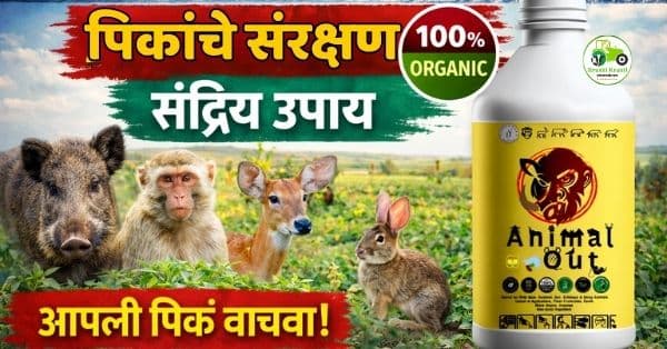ॲनिमल आऊट – Animal Out 500 ml