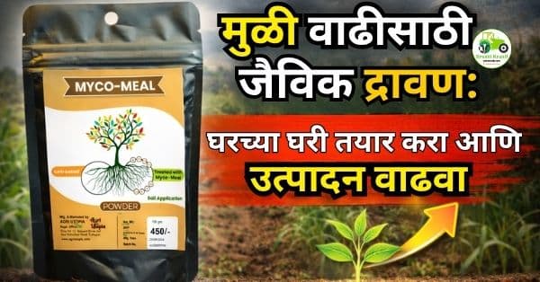 मुळी वाढीसाठी जैविक द्रावण: घरच्या घरी तयार करा आणि उत्पादन वाढवा