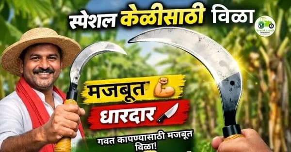 स्पेशल केळीसाठी विळा | गवत कापण्यासाठी मजबूत आणि धारदार विळा