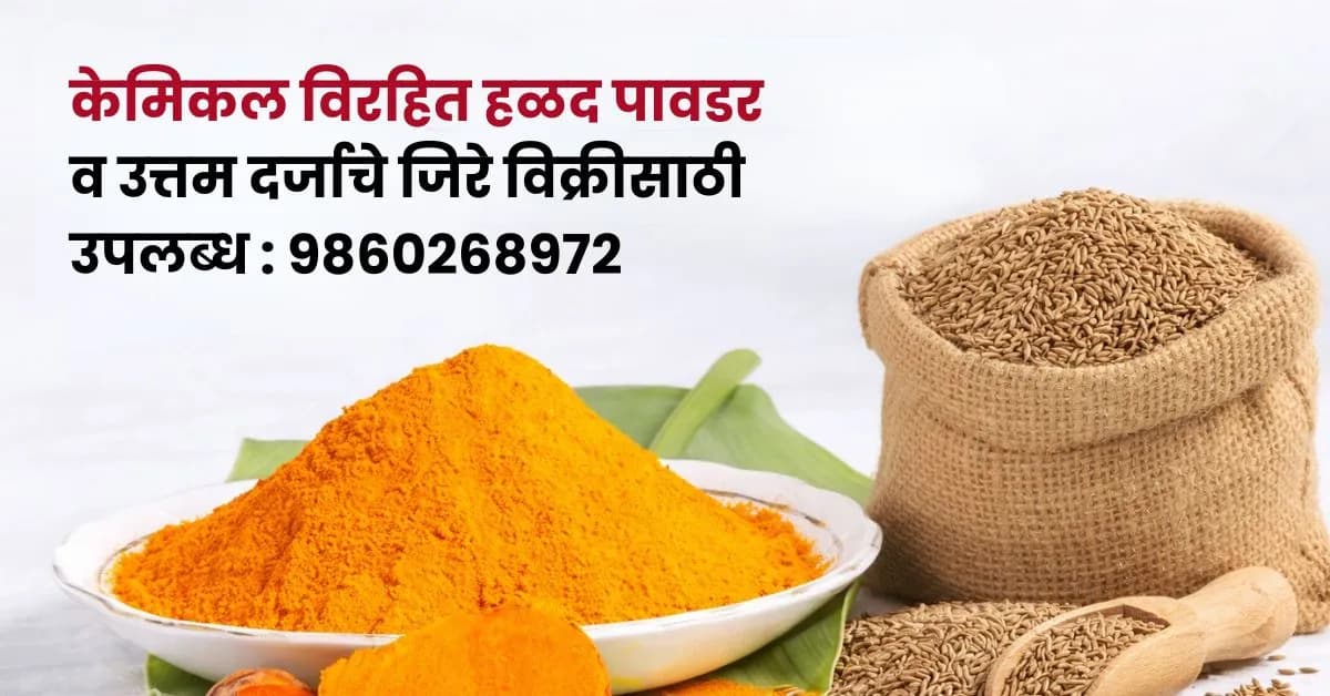 केमिकल विरहित हळद पावडर व उत्तम दर्जाचे जिरे विक्रीसाठी उपलब्ध