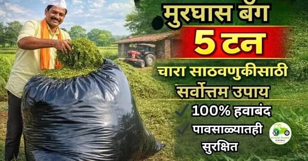 मुरघास साठवणुकीसाठी आधुनिक उपाय – 5 टन क्षमतेची मुरघास बॅग