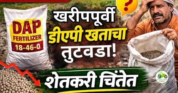 खरीपपूर्वी डीएपी खताचा तुटवडा! शेतकरी चिंतेत