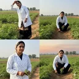 सनकोट