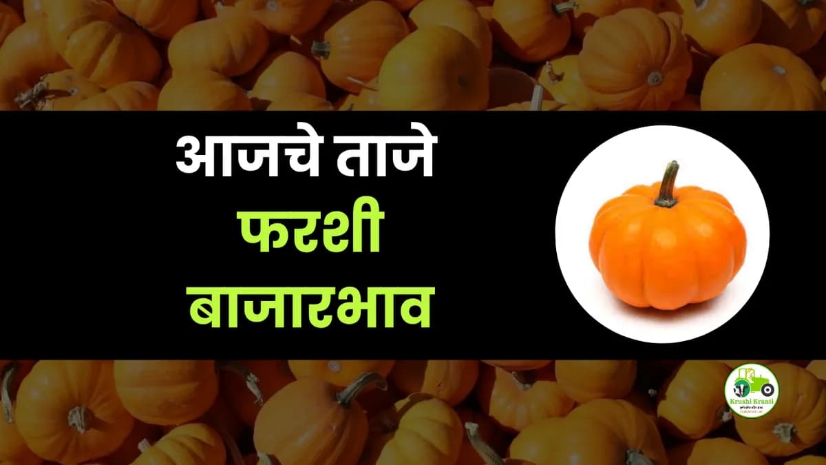 आजची फरशी बाजारभाव