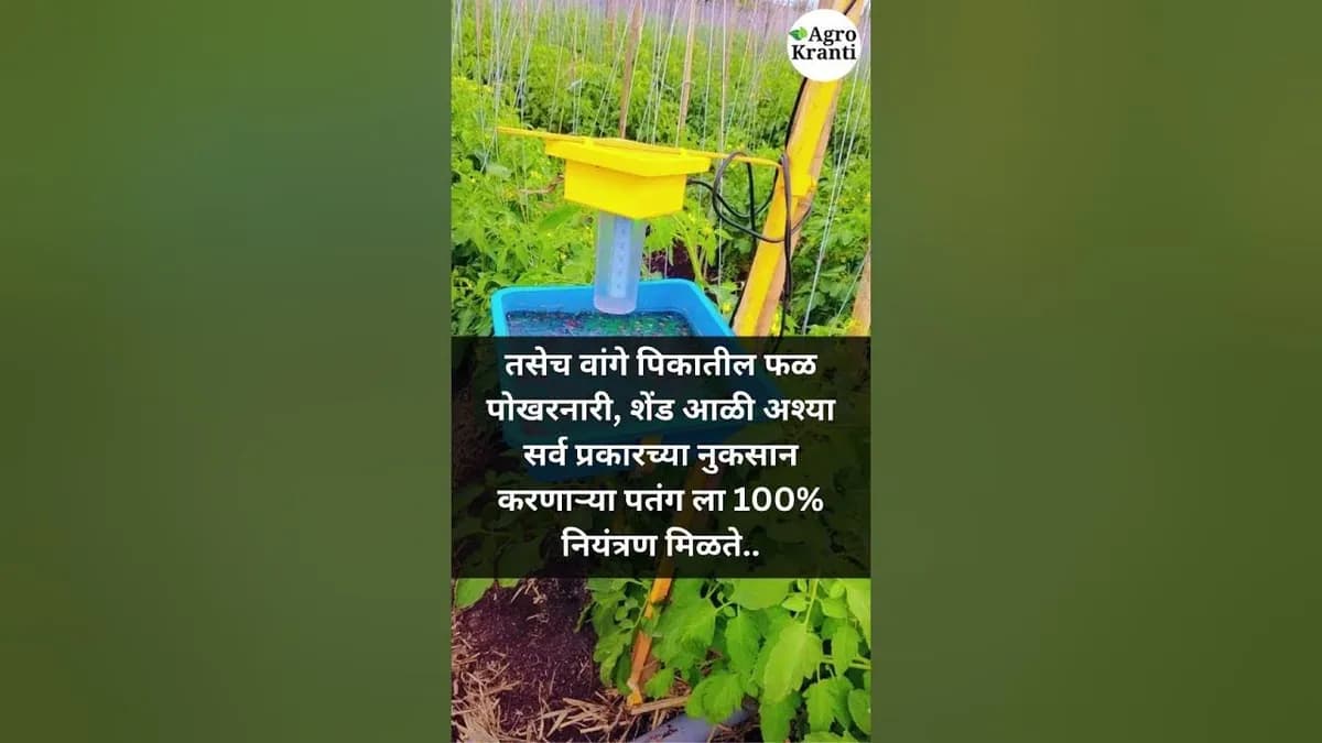 मोठा सोलर ट्रॅप
