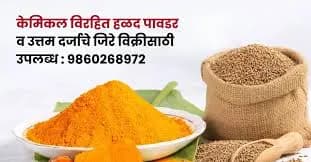केमिकल विरहित हळद पावडर व उत्तम दर्जाचे जिरे विक्रीसाठी उपलब्ध