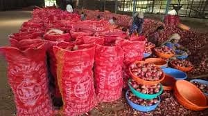 दौलत ट्रेडिंग कंपनी