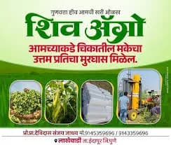 मुरघास विक्रीस उपलब्ध