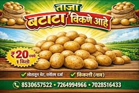 बटाटा विकणे आहे