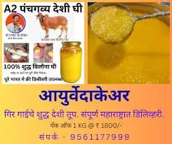 देशी गिर गाईचे बिलोना तूप | 1 किलो शुद्ध घरगुती तूप उपलब्ध