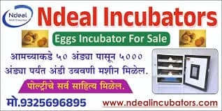 अंड्यातून पिल्लू काढायची मशीन मिळेल