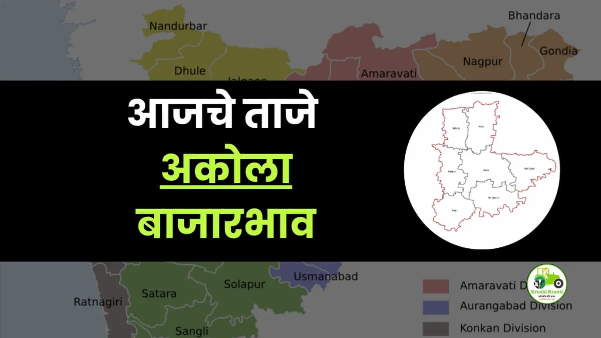 आजचे अकोला बाजारभाव