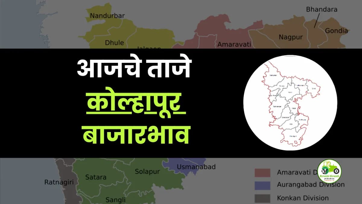 आजचे कोल्हापूर बाजारभाव