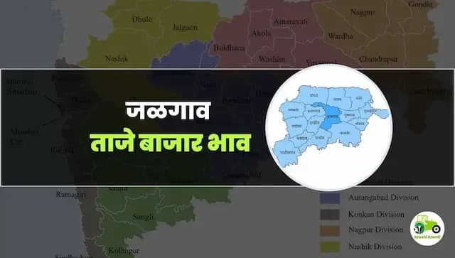 आजचे जळगाव बाजारभाव