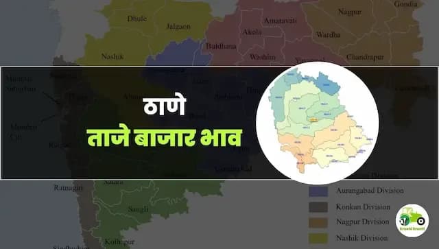 आजचे ठाणे बाजारभाव